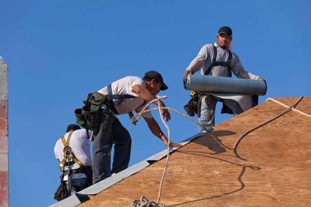 Best Metal Roofing Contractor  in Avodo Heights, CA