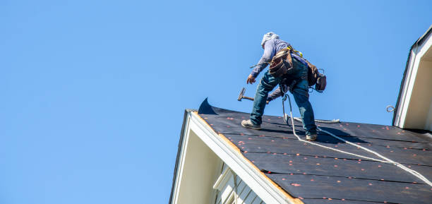 Best Roof Gutter Cleaning  in Avodo Heights, CA